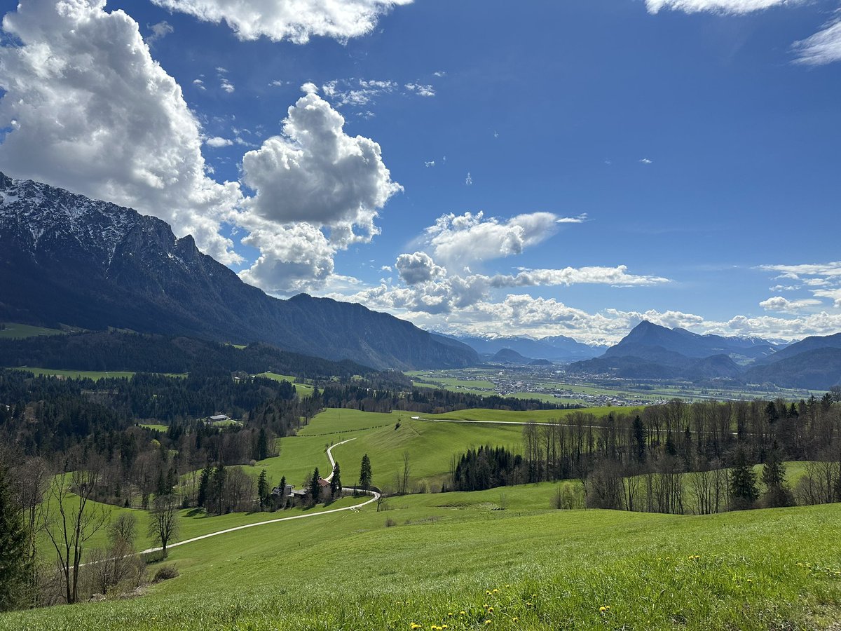 Dominic Elm tweet media