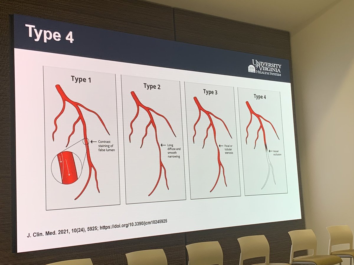 AtriumSHVI's tweet photo. Thanks to @PRodriguezMD for delivering a great presentation on cardiac cath in SCAD.
✅Review of SCAD types I-IV
✅Great reminder to use IC nitro to exclude spasm in Type II SCAD.
✅SCAD signatures
#SCADheart #SCAD #SangerSCAD
@SCADalliance @EstherSHKimMD https://t.co/HSZRpVWiEF