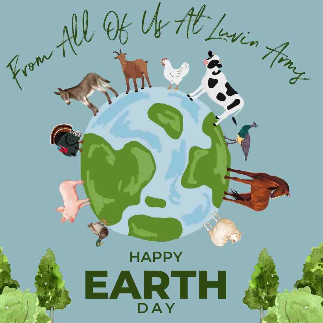 Luvin Arms Animal Sanctuary tweet media
