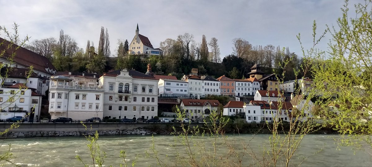 PSteyr tweet picture