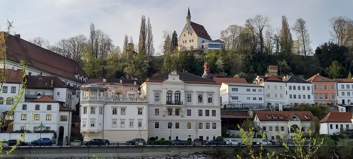 PSteyr tweet picture