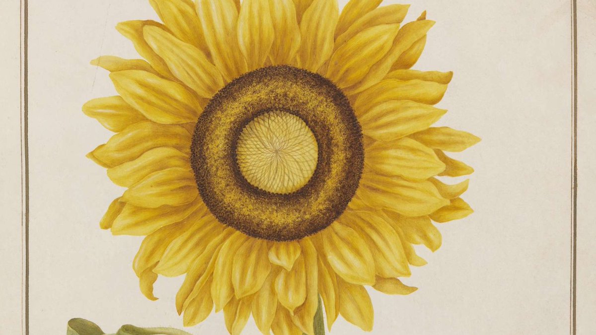 Europeanaeu's tweet photo. 🌍 With 22 April marking #EarthDay, Europeana #ClimateAction Community Steering Group members @KillDowning and @ShadyArdalan tell us about the history of the day, its relevance for #DigitalHeritage, and how you can get involved. 🍃 https://t.co/jqqtEf2Fjl
#EarthDay2023 https://t.co/FFF8RQBkwH