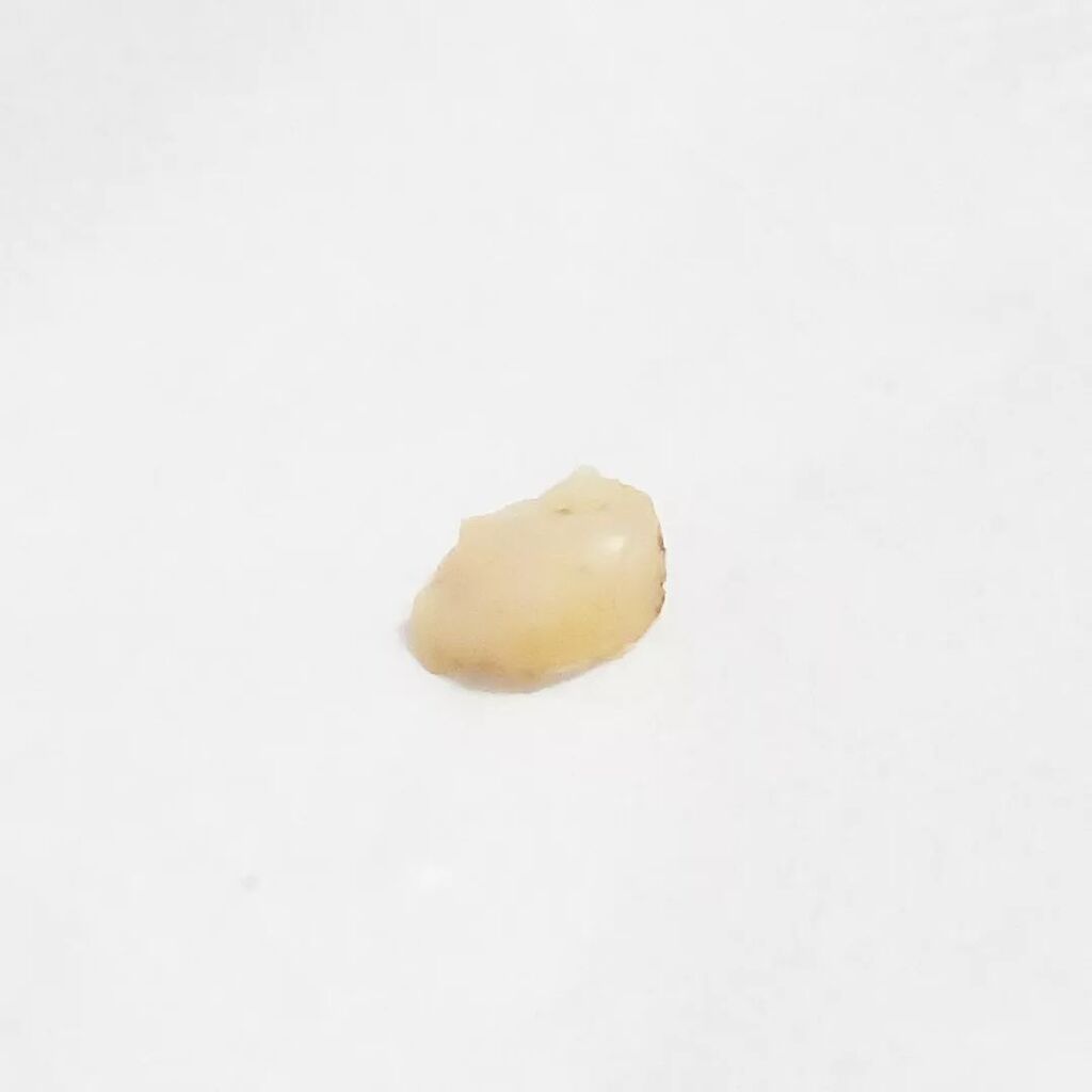 kenichi_hatori's tweet photo. 奥歯が欠けた😭

プロフィール画面に、DIYを中心に生駒市から情報発信する「いこまーく」のURLを掲載しています。#diy情報 #生駒情報 #生駒市情報 #worklodge #いこまーく #コワーキングスペース #フリースペース https://t.co/v5p3GhT8SY https://t.co/ulryYLiqb8