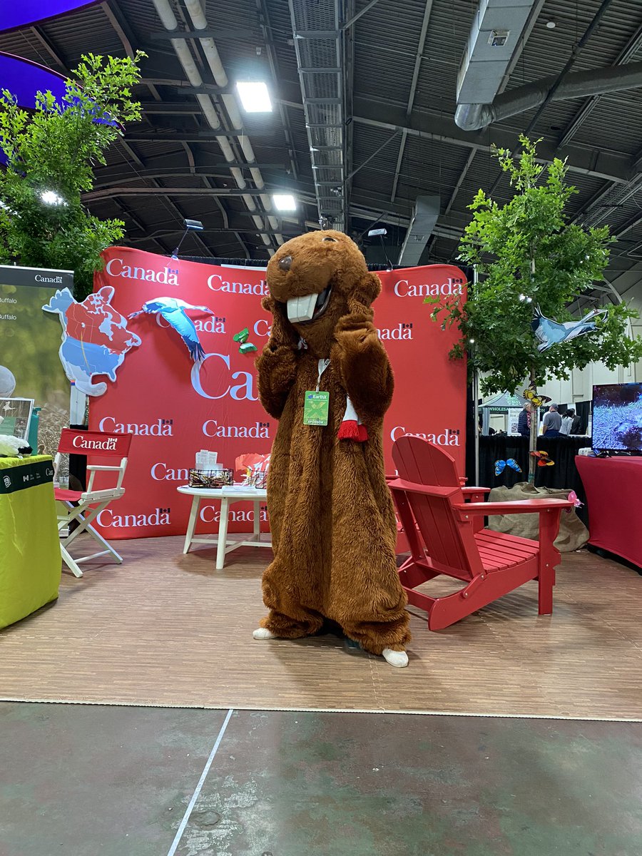 CanCGDallas's tweet photo. Betty the Beaver will be on-site at #EarthX to discuss 🇨🇦’s efforts to achieve its nature conservation commitments for wildlife and their ecosystems!
Betty is committed to protecting #biodiversity for future generations!
#BettyisBack #BettyBeaver #Canada https://t.co/Ub8cFeD4jw