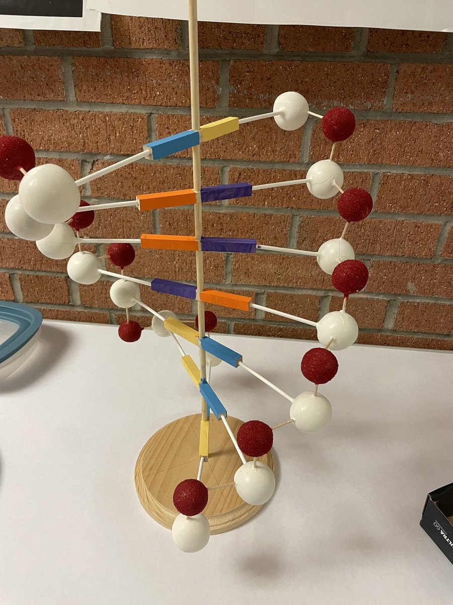 DNA Day food contest entries! @NHSDNADay #nordoniarocks