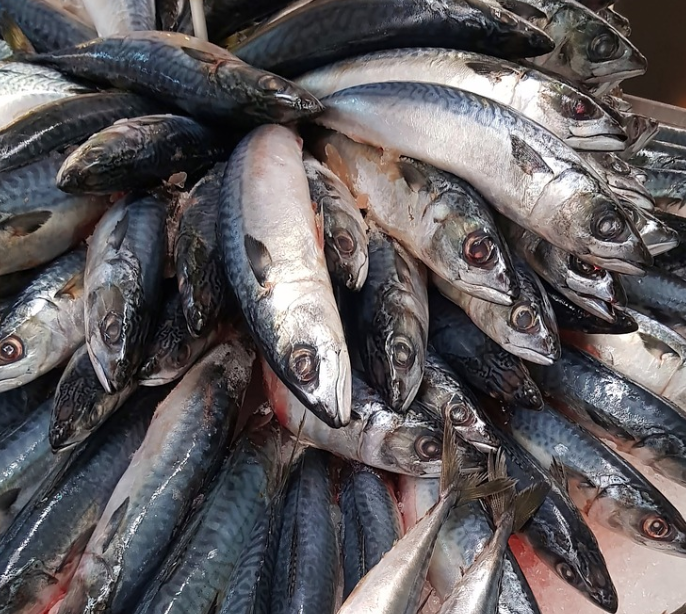 WaterpediaWiki's tweet photo. 10/10 You have the power to make a difference! 🌟 Ask where your fish comes from, and let businesses know that you care about sustainability. 🌍💚 #makeanimpact #sustainablechoices https://t.co/r23o1sgelJ