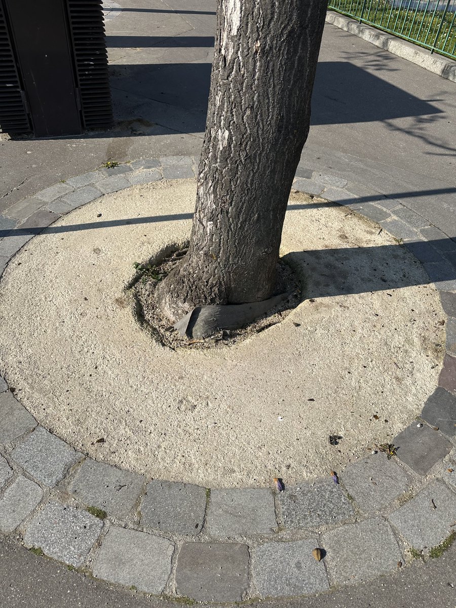 BGianeselli's tweet photo. #BalanceTaRésine Nombreux arbres concernés sur la place d’Italie. 
#RemettezLesGrillesDArbres 
✍️ Pétition : https://t.co/Mo3QSp8N9D https://t.co/nD5DYtD5if