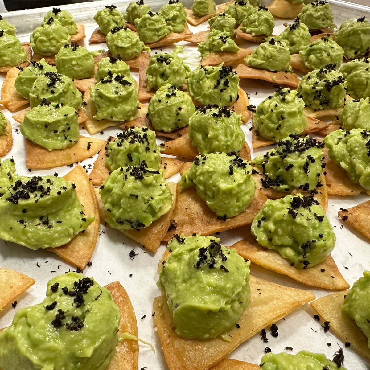 I’m sorry, but would you like more ants on your guacamole?