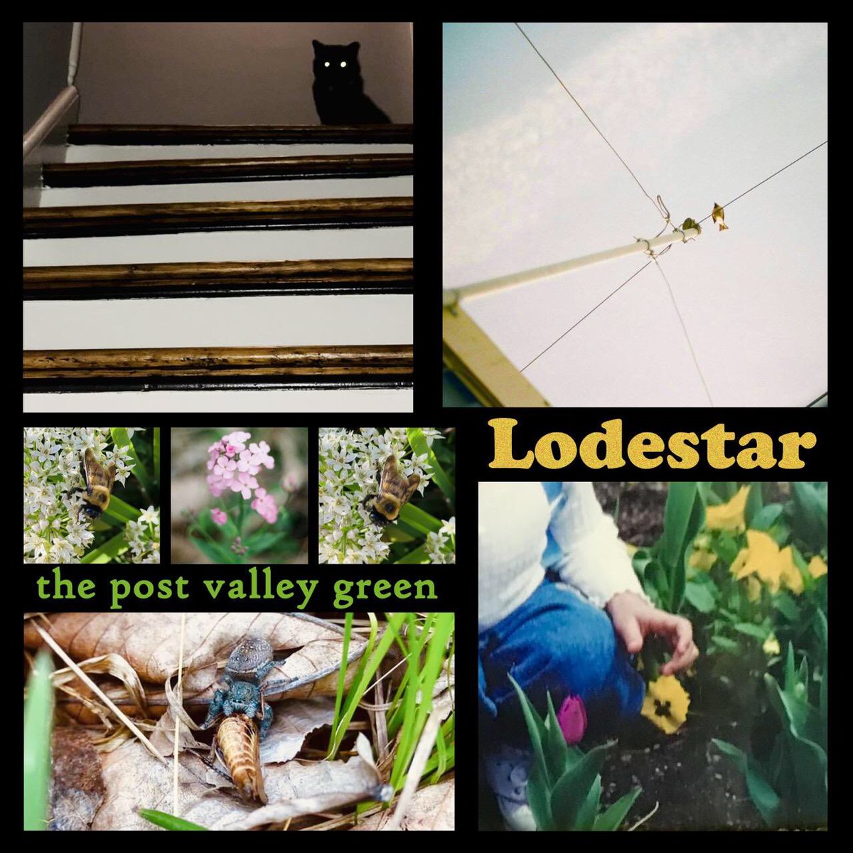 instagram.com/p/CrTWyeLMPDg/…  Todays the day it's here!! Our first full length release Lodestar is available now everywhere you get music, we appreciate you all so much please have fun have a good day give it a listen and call ya motha