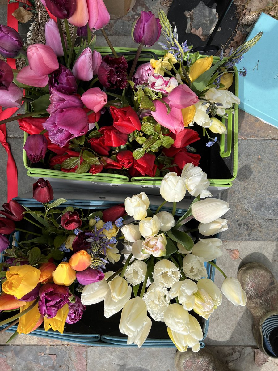 So many tulips coming from my patch right now. 
#britishflowers #britishtulips #homegrown #organicallygrown #grownnotflown #deliveringflowerslocally #Hampton #TheHamptons #Teddington #Twickenham #EastMolesey