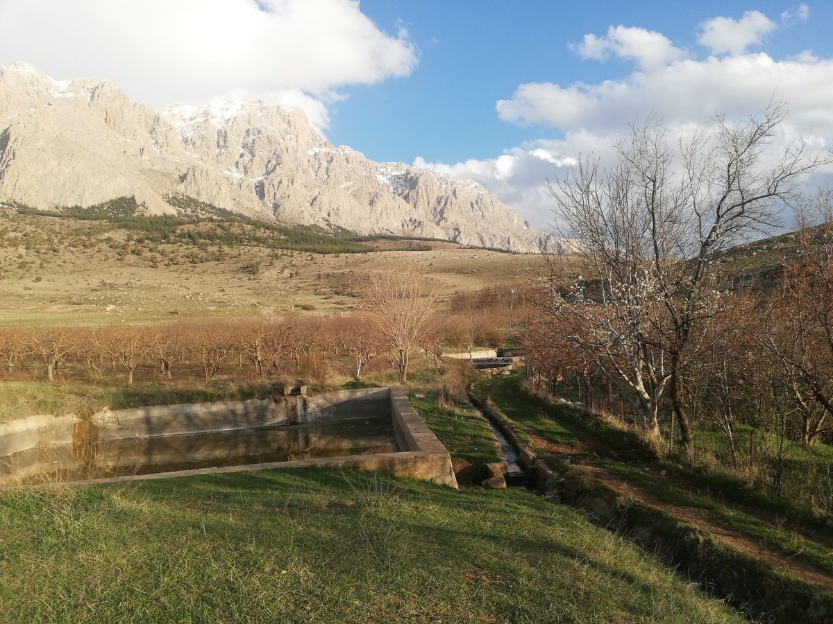 Memleket isterim
Gök mavi, dal yeşil, tarla sarı olsun;
Kuşların, çiçeklerin diyarı olsun,
Mübarek Ramazan Bayramınız kutlu olsun