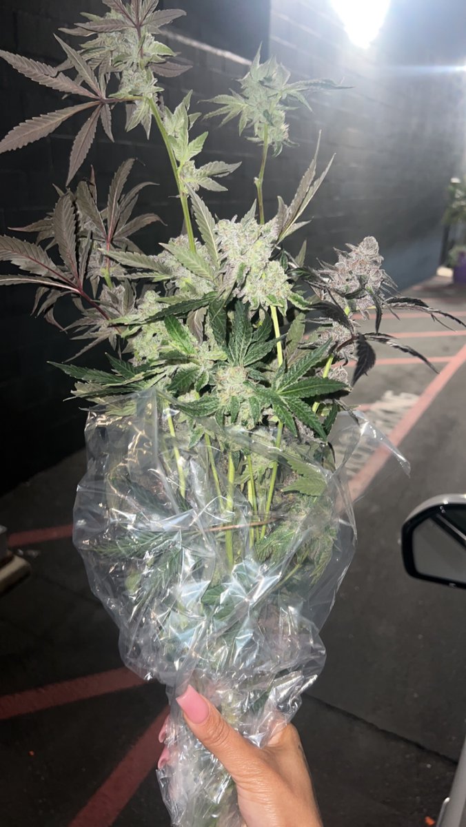 GloTheofficial tweet picture