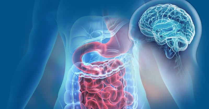 HMethodistMD's tweet photo. A study led by Dr. Eamonn Quigley used combination probiotic therapy to isolate and treat key symptoms of IBS. While gastrointestinal symptoms were associated with stress, psychological symptoms were associated with inflammation. Probiotics targeting both improved response.