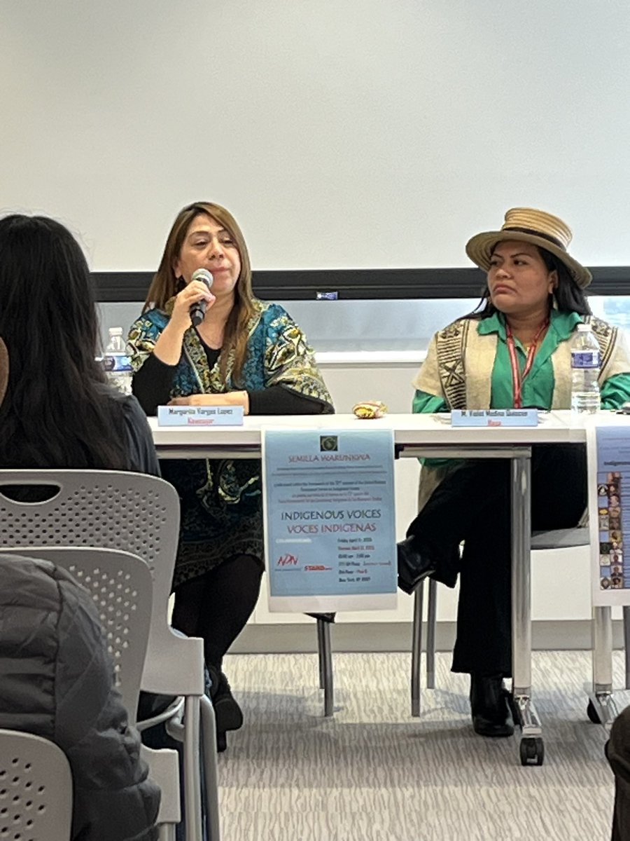 Rebecca_Aaberg's tweet photo. An Indigenous woman from Chile notes that “our votes are not important” to Chile because Indigenous Peoples are small in number. Señora, let’s change that! All voices matter in political life. #UNFPII @Docip_en https://t.co/OPwaILFZEv