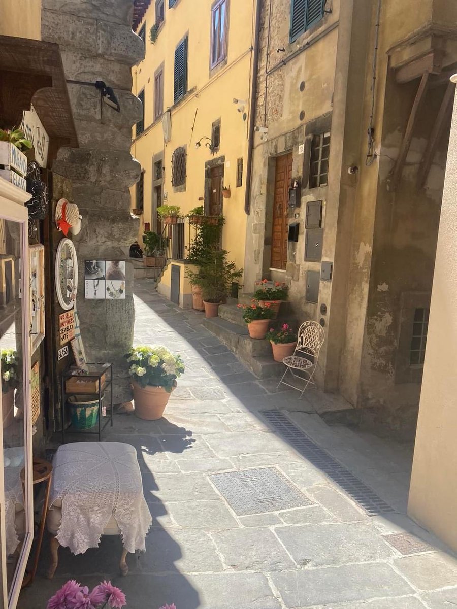 Michelle McDonald tweet media