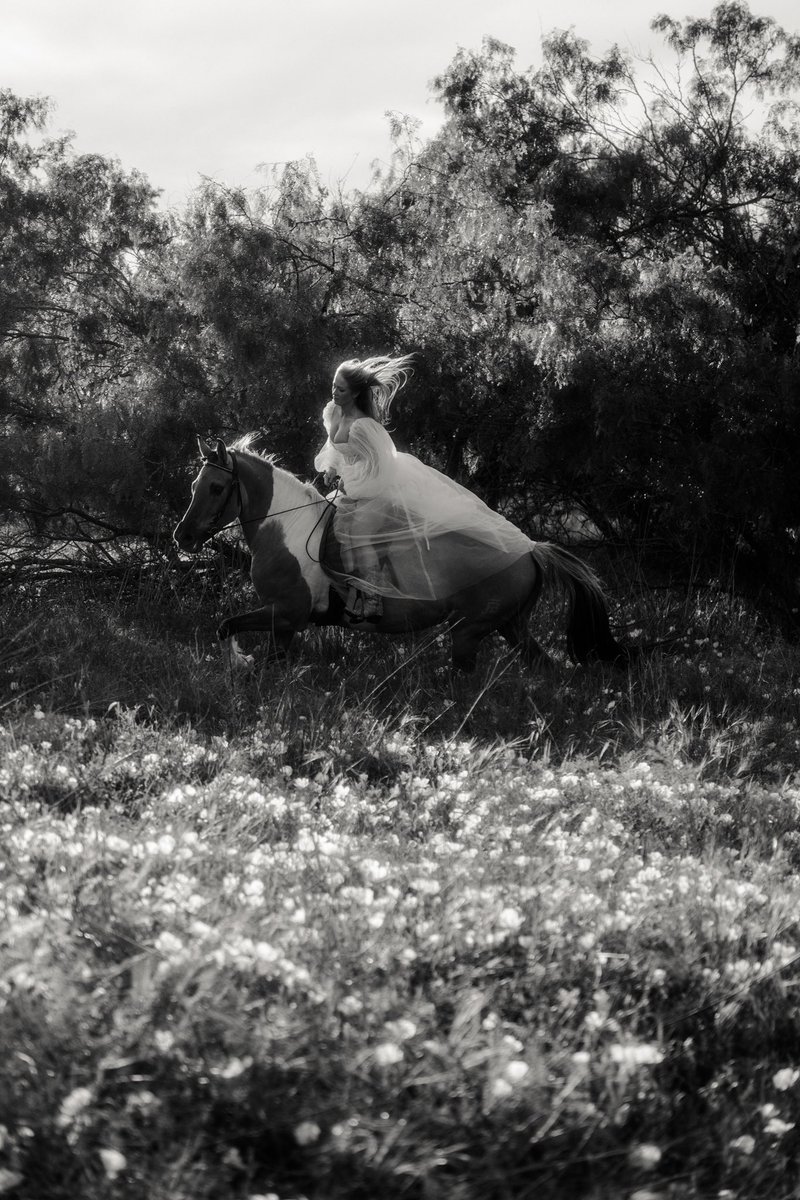 SnapsbyaGirl tweet media