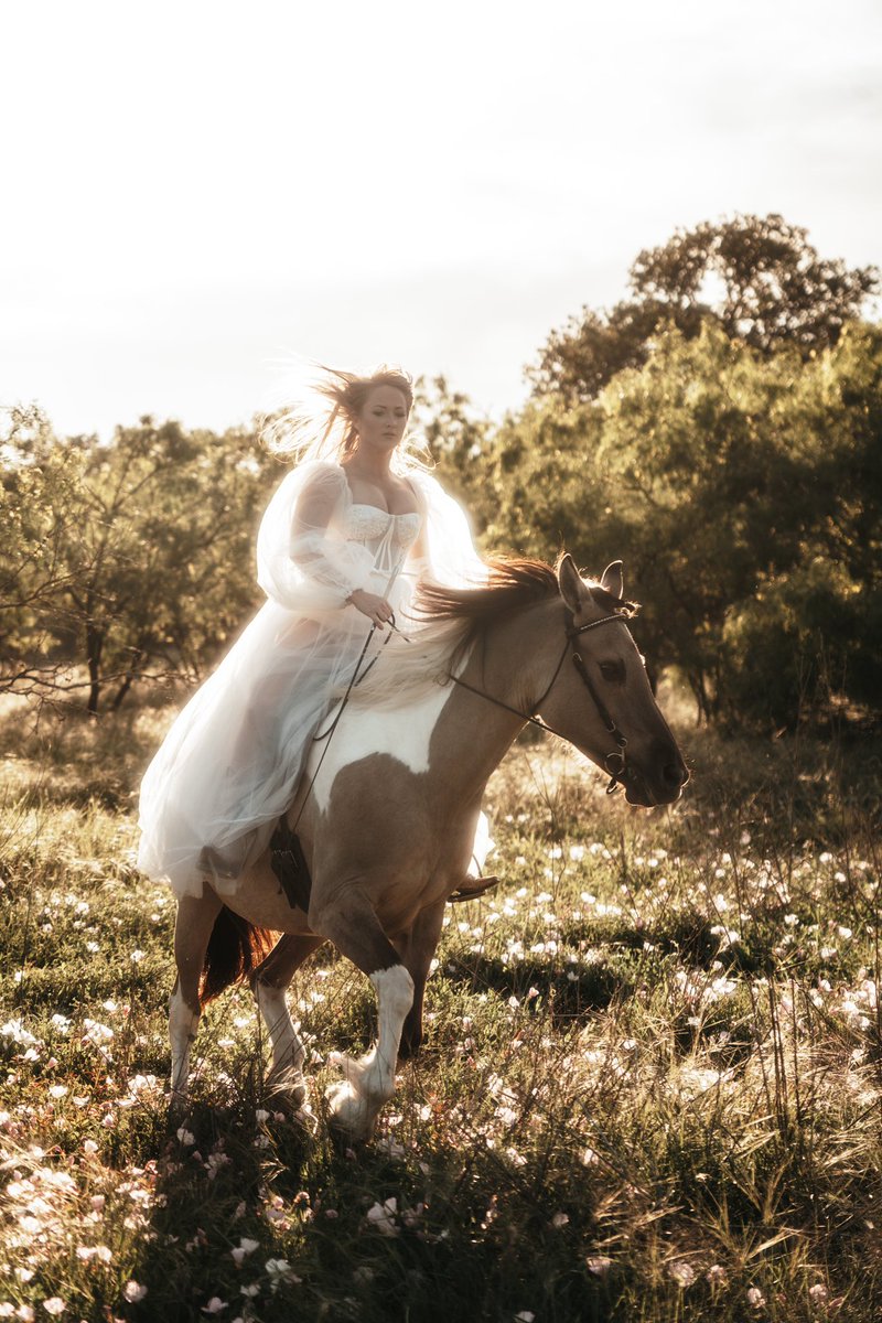 SnapsbyaGirl tweet media