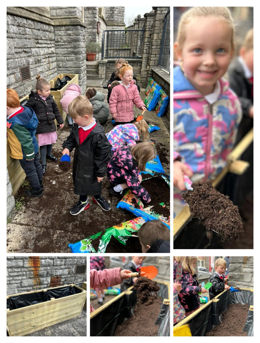 Holtonprimary's tweet photo. Next time you walk past @StMarysBarry look out for Reception's sunflowers in the new planters! ๐ป Lots of teamwork to fill the deep planters and to create holes deep enough for our soon to be giant sunflowers! #HPSReception #HPSHWb #localarea https://t.co/QyTjnWr7lP