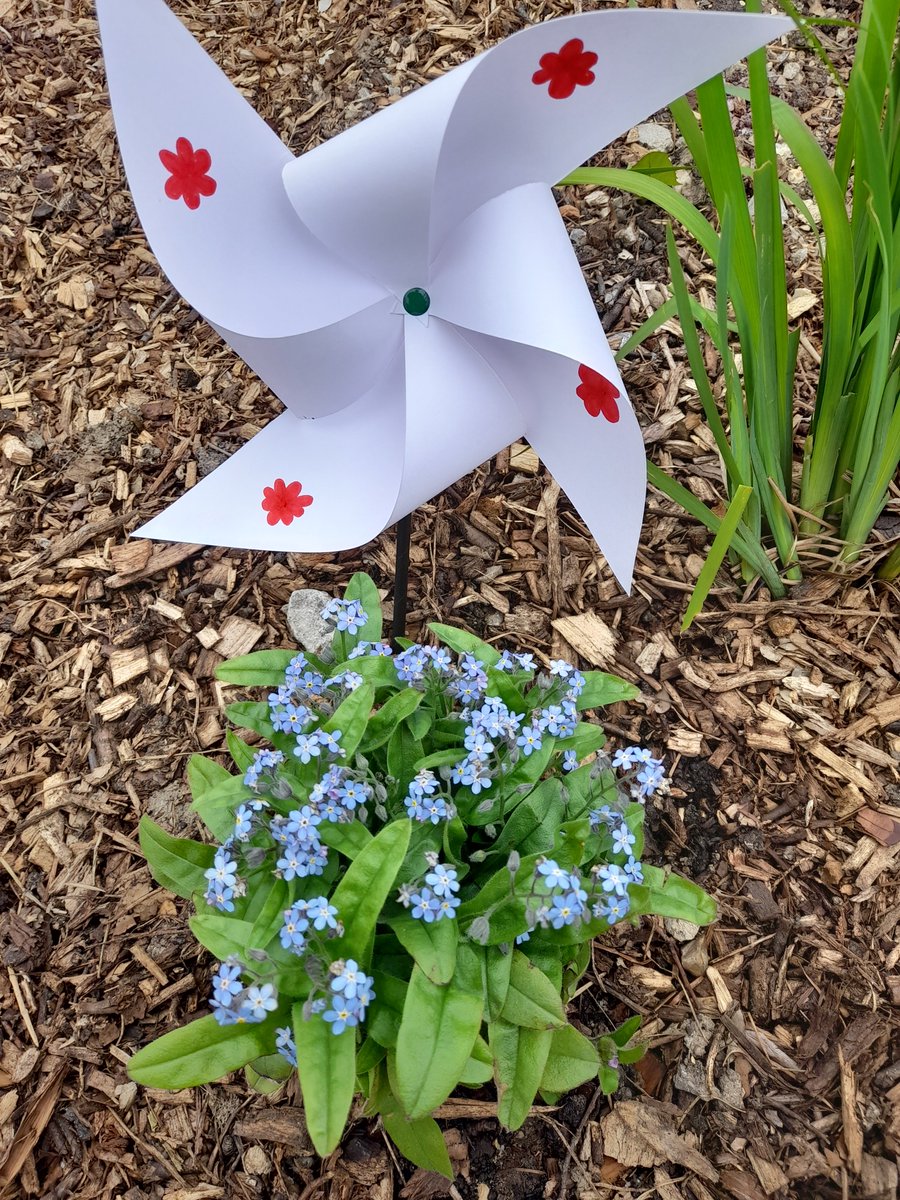 Join us at #RSPBStAidans for a FREE family-friendly community Wildflowers & Windmills Walk on Tues 30th May.

Meet at the #LittleOwlCafe for 11am 🦉

#daysoutinleeds #familyfriendly #wildflowers