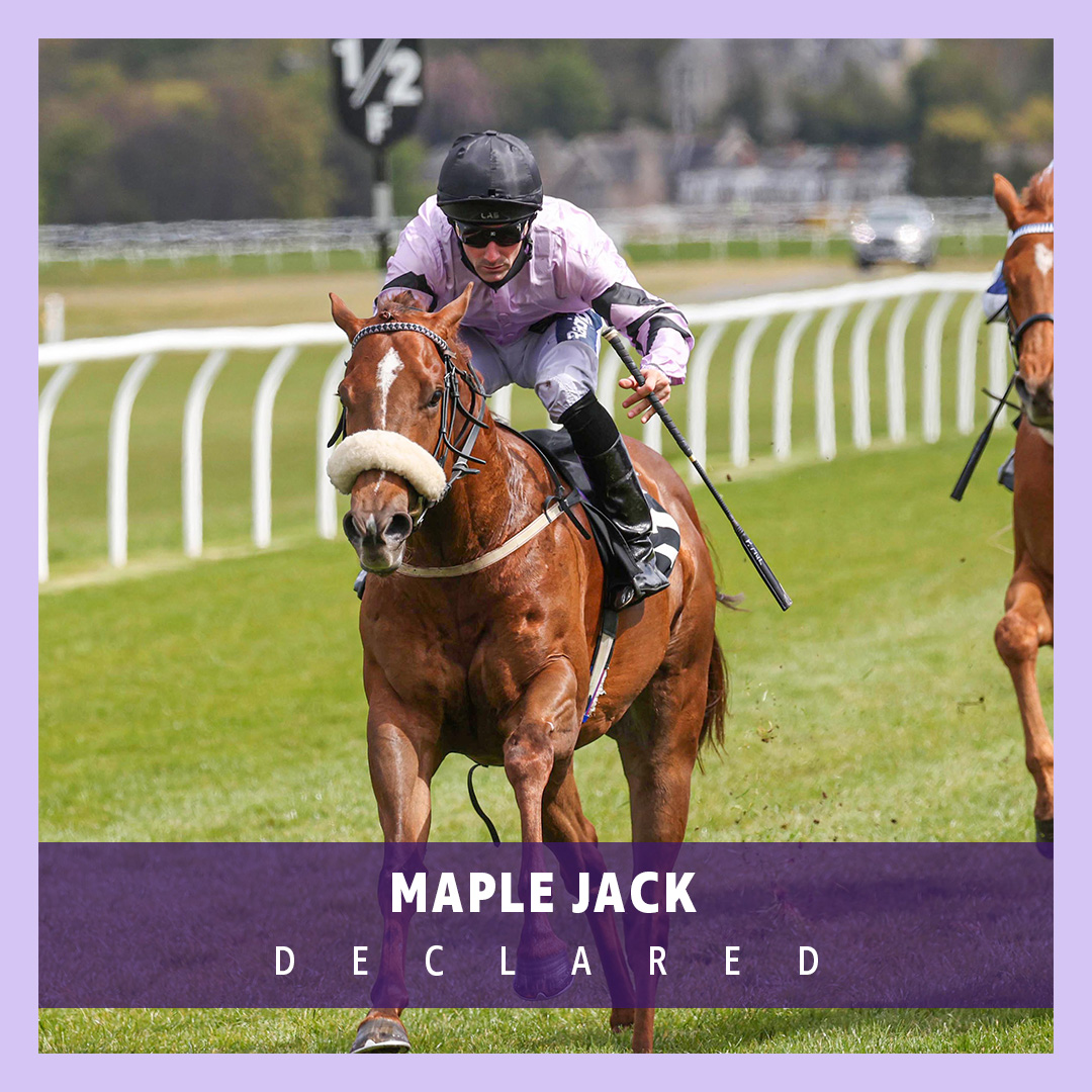 ownersgroupuk's tweet photo. Maple Jack is back today in his seasonal debut in the 3.45 at Thirsk 🏇 He runs for trainer @JCamachoRacing , jockey Graham Lee and all of his owners! 🤞 #OwnersGroup #MapleJack https://t.co/J5wA342Mri