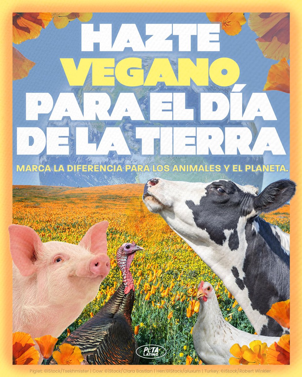 PETA_Latino's tweet photo. @Sukantti ¡El Día de la Tierra es este sábado 22 de abril! 🌎 Es urgente que la gente reconozca el impacto que lo que elije comer tiene sobre el planeta y las especies que viven en él. ¡Únete a nosotros para retuitear e inspirar a los demás a hacerse #VeganforEarthDay y siempre! 💚