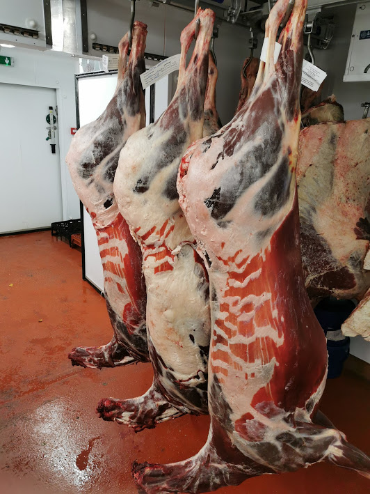 Tony Perkins tweet media