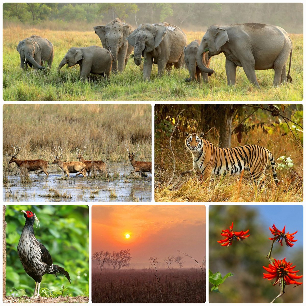 Sanjay Kumar IAS (@skumarias02) on Twitter photo Wishing all a Happy Earth day 🌎. Let's resolve to put conscious efforts to make our one and only home - planet earth, a better place, and protect the wonderful denizens of wild. Without them, the ecosystem of Earth shall be lopsided.
<a href="/byadavbjp/">Bhupender Yadav</a>
<a href="/rameshpandeyifs/">Ramesh Pandey</a>
<a href="/paragenetics/">Dr. PM Dhakate</a> Wishing all a Happy Earth day 🌎. Let's resolve to put conscious efforts to make our one and only home - planet earth, a better place, and protect the wonderful denizens of wild. Without them, the ecosystem of Earth shall be lopsided.
<a href="/byadavbjp/">Bhupender Yadav</a>
<a href="/rameshpandeyifs/">Ramesh Pandey</a>
<a href="/paragenetics/">Dr. PM Dhakate</a>