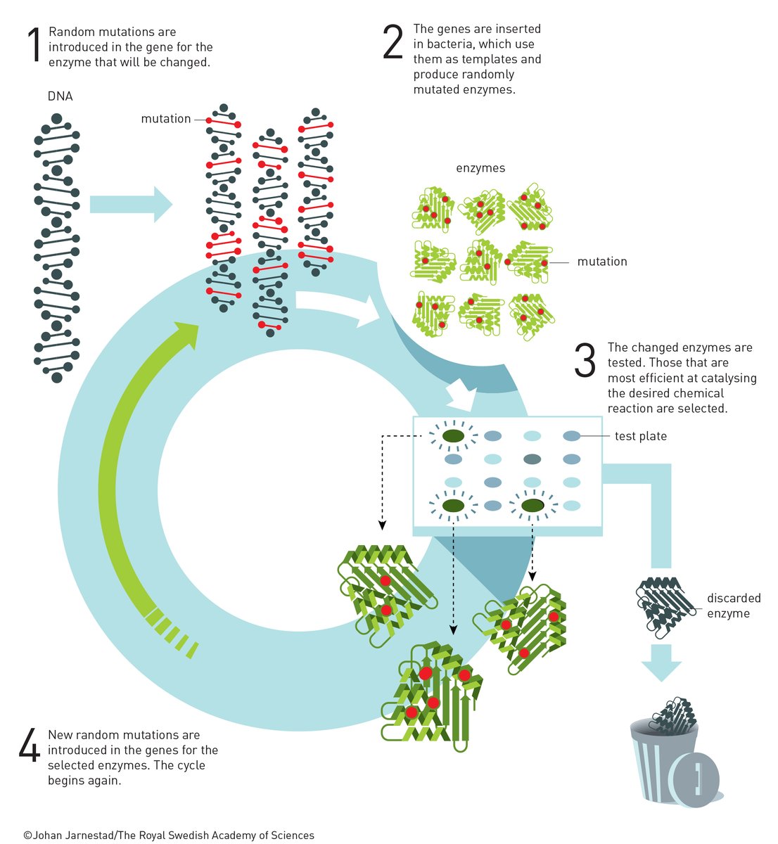 On World Creativity and Innovation Day, we highlight the star of enzyme engineering, <a href="/francesarnold/">Frances Arnold</a>. Instead of producing pharmaceuticals and plastics using traditional chemistry, Arnold's idea was to use the chemical tools of life: enzymes. Read more: bit.ly/2EYMGY1