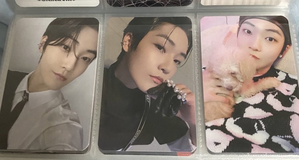 irisjello's tweet photo. ขายใบละ70ค้าบ ค่าส่ง30/50 ทักมาขอดูเพิ่มเติ่มได้คับ🩵 #ตลาดนัดtheboyz https://t.co/caYbFKOgPn