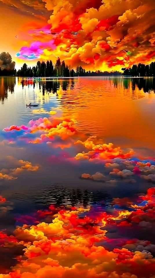 NATURALEZAV3's tweet photo. Hermoso! https://t.co/XbhQ4CBNuq