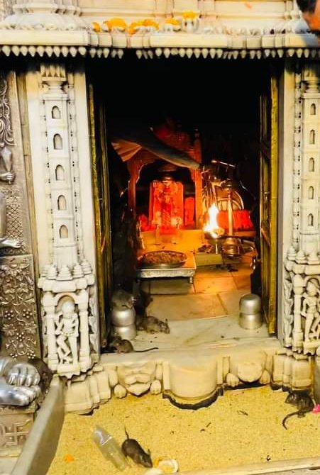 करणी घण करणी कृपा ,धरणी उर धणियाप ।
माँ करणी  मोटा  धणी , माँ करणी मां बाप ।।
चार धाम करणी चरण , सह तीरथ सिरमोड़ । 
पद करणी चख परसता ,पातक कट करोड़ ।।

जय माँ करणी 🙏 ….