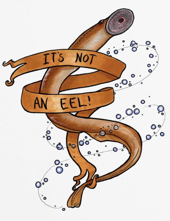 Ocean2105's tweet photo. @bingsingleton @ronval912 @LampreyControl @TRCA_HQ Lol. They are both cool (and tasty) in their own way!! Artist: Zalazny https://t.co/W27efMTNql