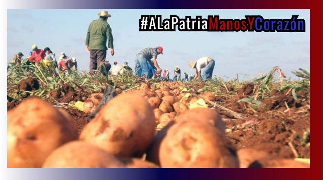 MSilvia1970's tweet photo. @ArielPitaF @CDRLaHabana @IdaAitana @elchaguitoDC @YoDeVzla @davidtzu07 @Sandri_IU Aquí te acompañamos todos Compay #ALaPatriaManosYCorazón , juntos por #Cuba https://t.co/0f1fOfxFvm