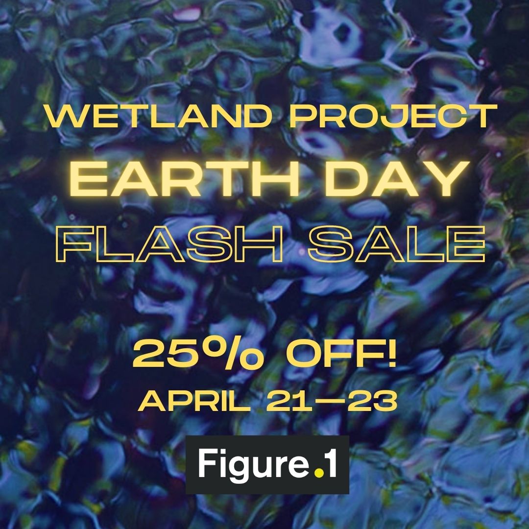 To celebrate the 7th annual, 24-hour Wetland Project slow radio broadcast on #EarthDay, we're running a FLASH SALE: save 25% when you purchase your copy of the Wetland Project through our bookshop between Apr. 21 - Apr. 23. @wetlandproject @GreatDismal
instagram.com/p/CrTbSuNLOIS/