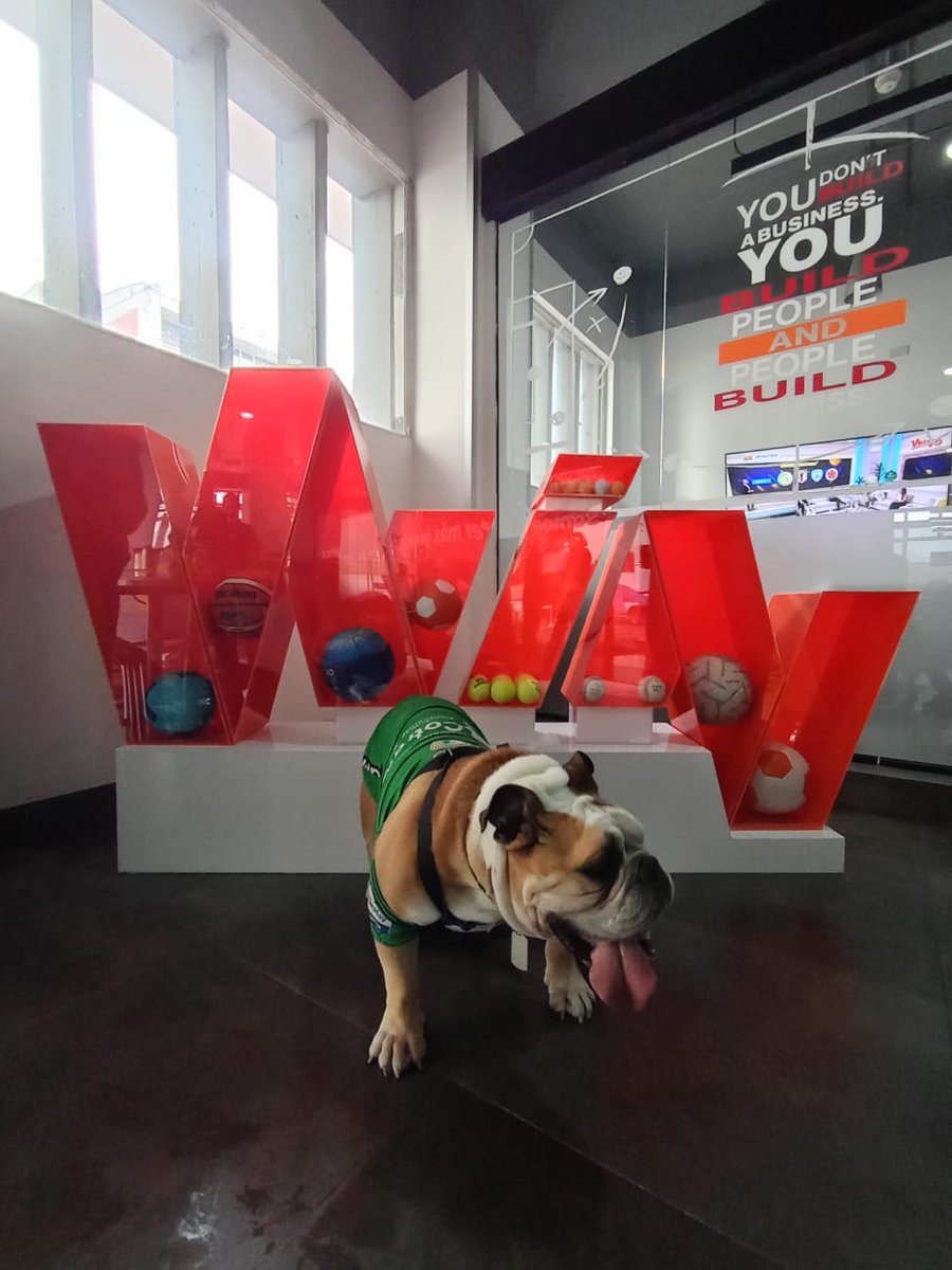 Win Sports tweet media