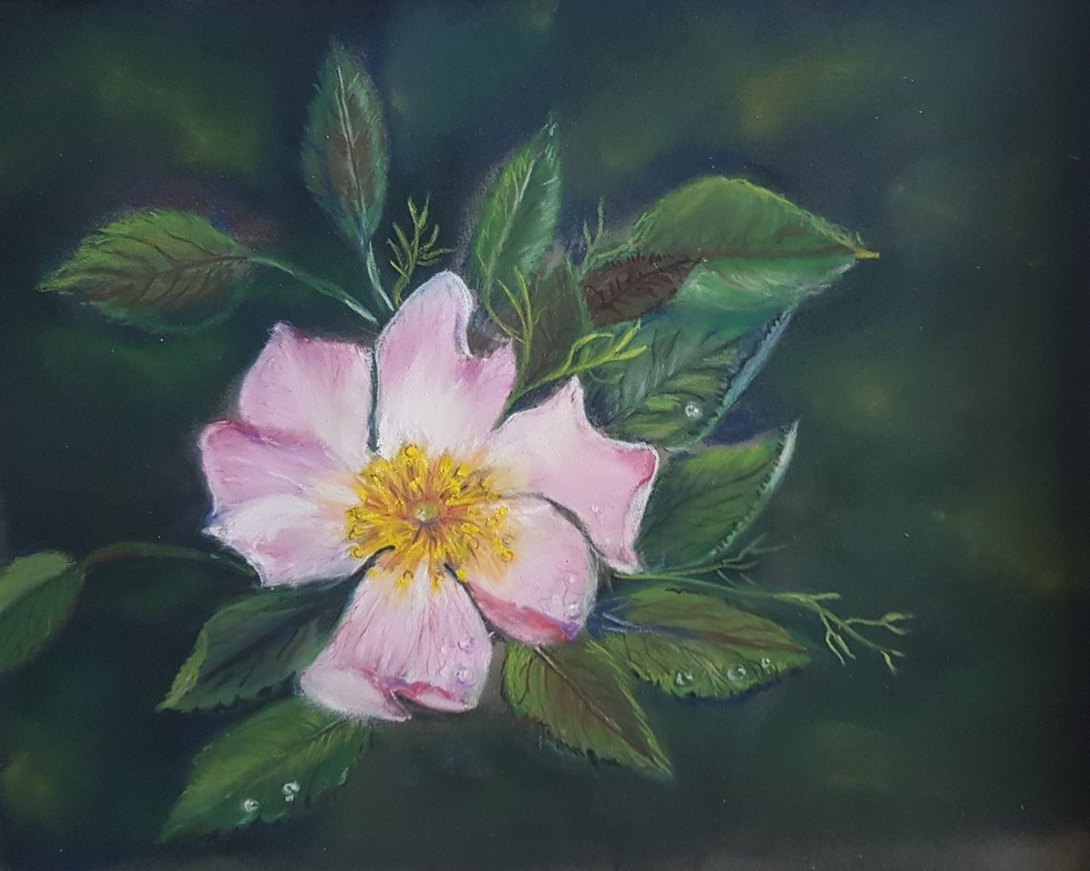 WestAcreGallery's tweet photo. Diane is inspired by the diverse landscapes &amp; ever changing skies of Norfolk.

The coast, broads, flora and fauna are her constant muses, and she finds that pastels interpret these wonderfully.

See Diane's pastel paintings at our Spring Art Fair open 11am-4pm Saturday &amp; Sunday. https://t.co/FoikjgxLWm
