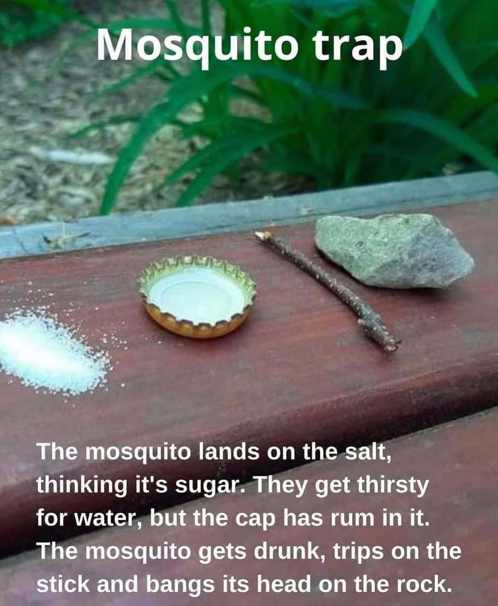 tv_Bull's tweet photo. I’m not saying our production office are tight 🙌🏽 but when I enquired about insect repellent, this was their offer👇🏽🙄 #workingintv https://t.co/FwzGEHggLn