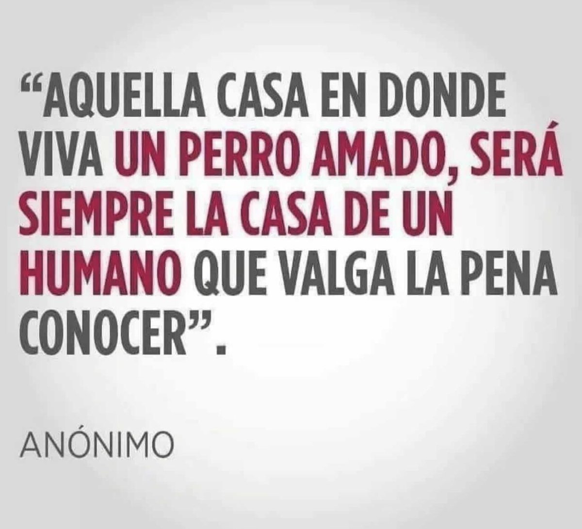 andradej0an's tweet photo. En el texto https://t.co/fLrvcW2RVm