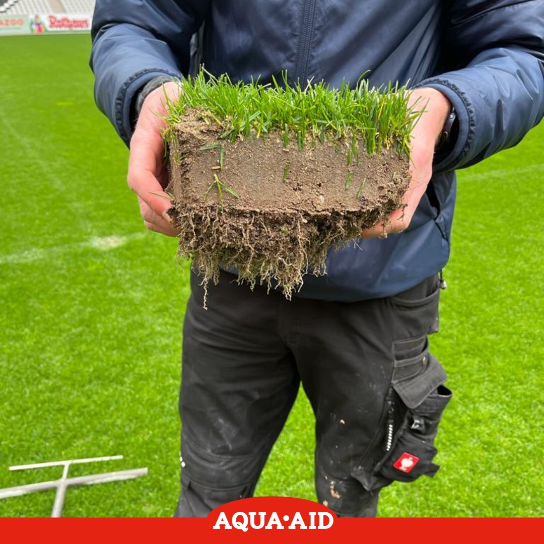 AquaAidEU's tweet photo. We were happy to witness this excellent root establishment deep within the profile, especially this early in the season. It's always great to see results of our product. #wormpower #VerdeCalG #consolidateplus #turfmanagement #football #wormpower https://t.co/G2Veo4TBfX