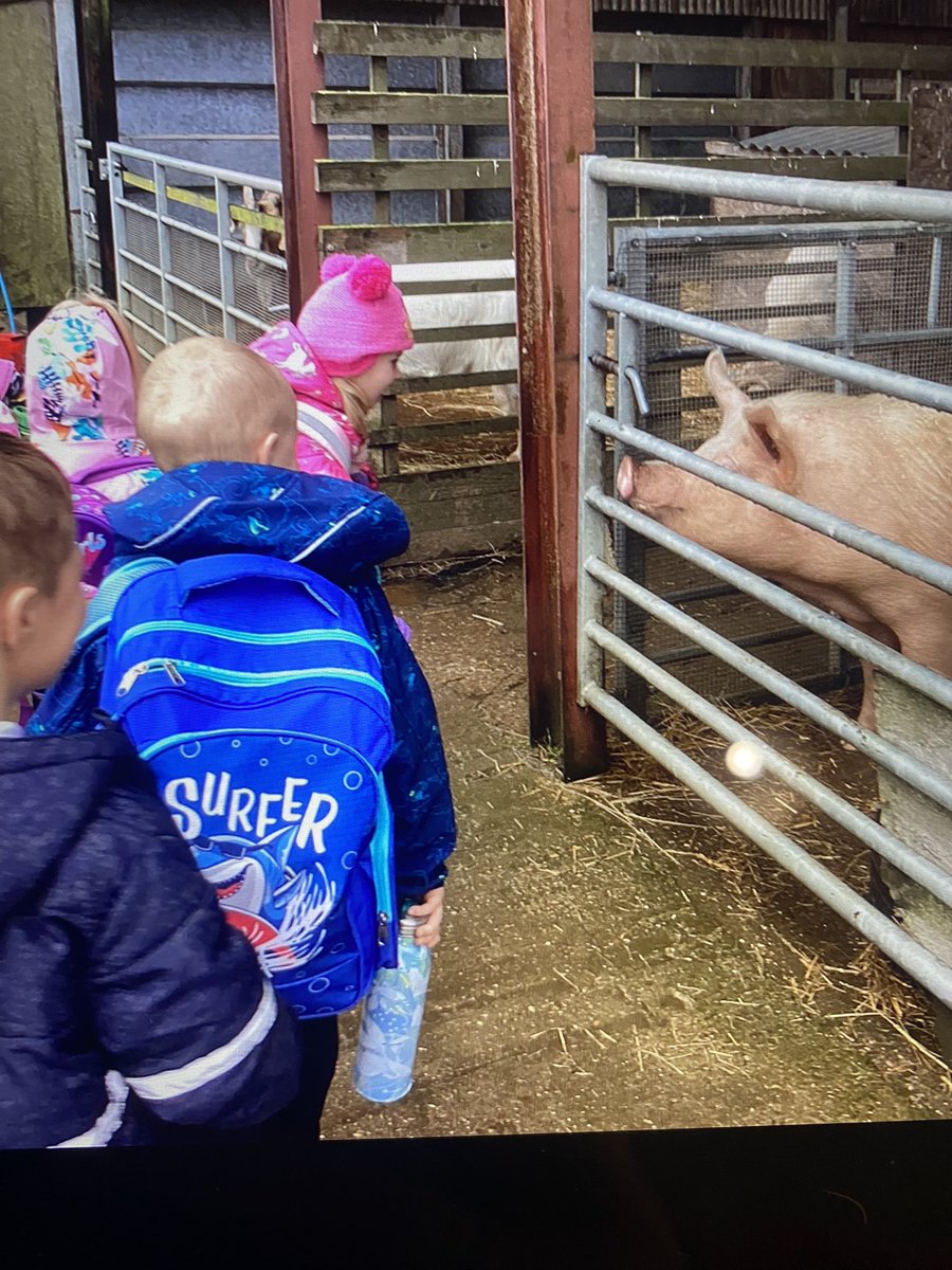 greenfieldseyfs's tweet photo. Dragonflies are having a lovely day at the DRET Farm without a drop of rain!🐷🦆🐮 🐴 #funatthefarm @greenfieldsps https://t.co/weZO3tLQPs