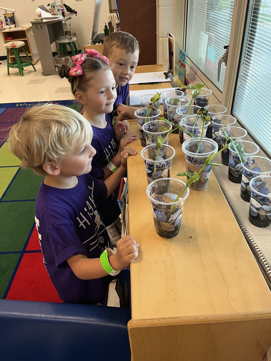 Rangerrynn2's tweet photo. The wonder of kindergarten #oneRCE #KinderRangers https://t.co/T4kCfQf7nM