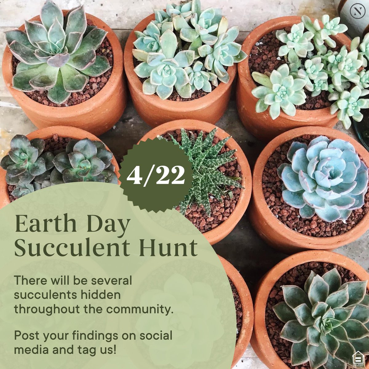 LegendWaco's tweet photo. We have a fun weekend ahead at The Legend!
Join us for Movie Night tonight starting at 8 PM &amp; Saturday for an Earth Day Celebration Succulent Hunt! 

Make sure to tag us with pics from the movie and the succulent hunt! 

#WeLoveOurResidents #EarthDay #MovieNight #Waco https://t.co/dma6ZLOksU