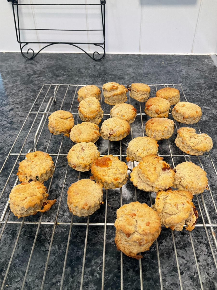 Blue Tangerine Federation tweet media