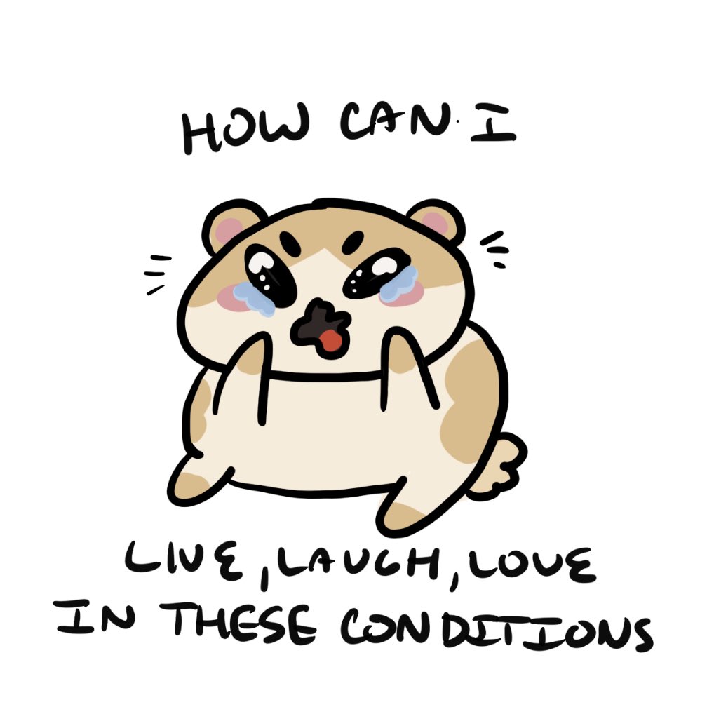 daintyddalgi's tweet photo. over dramatic hamster… spirit animal honestly https://t.co/aLl2QBqZYg