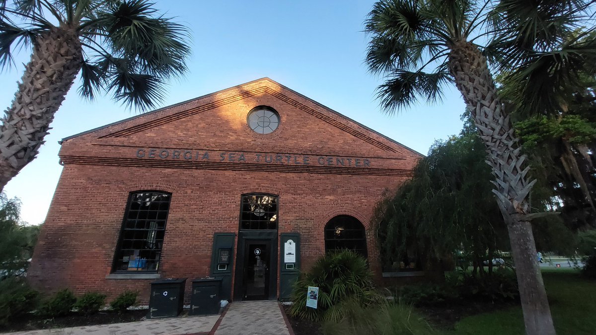 PaulFromFox5's tweet image. SAVING TURTLES, ONE STEP AT A TIME 🐢 The 20th annual #TurtleCrawl is happening on @Jekyll_Island next Saturday, benefiting the Georgia Sea Turtle Center. We're here live this morning on @GoodDayAtlanta!! #fox5atl