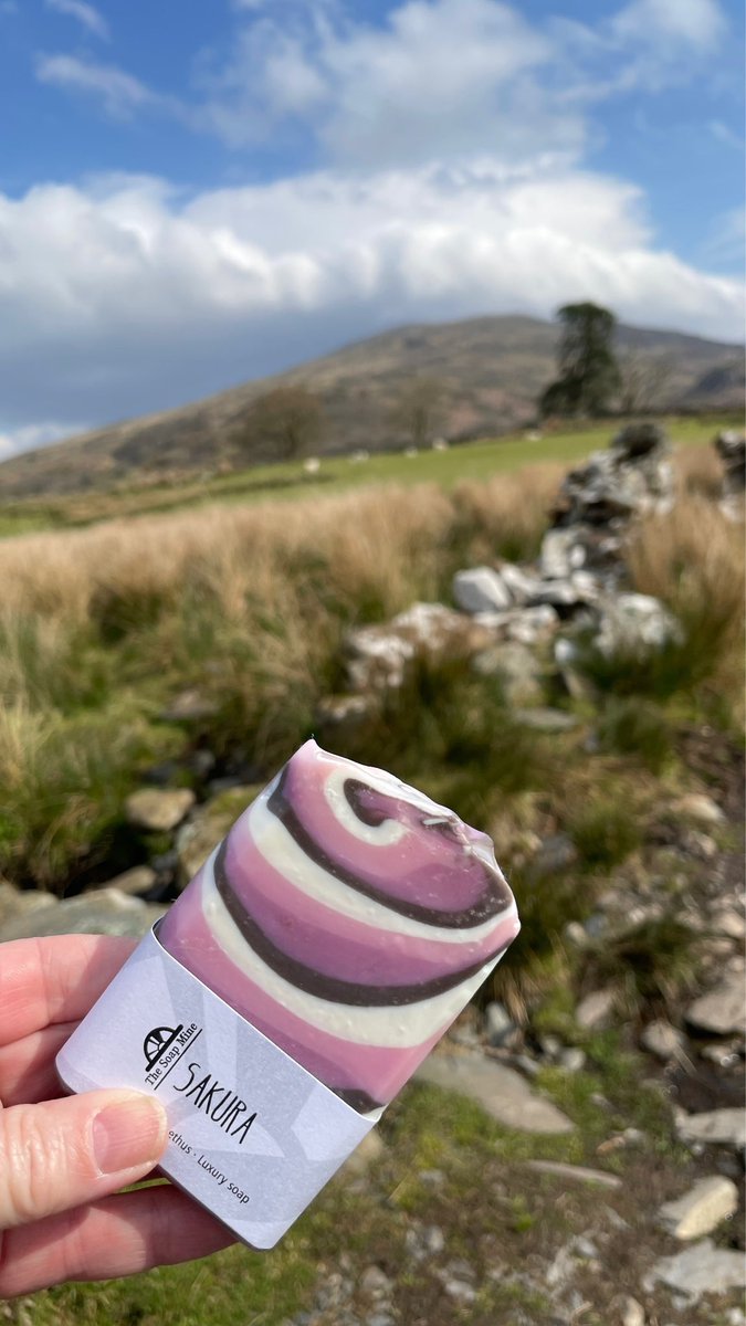Just a little bar of Sakura #handmadesoap accompanying me on the morning dog walk 😁