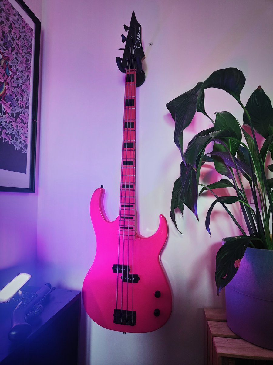 rhiebelle's tweet photo. Wall mounted my bass 😍

#PleaseDontFall 👀 https://t.co/y8OwTgXhmu