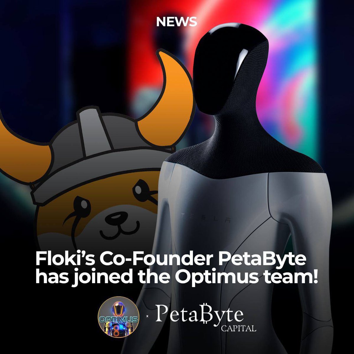 vampthepromoter's tweet photo. Taking my profits from $PEPE and putting them straight into #OPTIMUS 

The potential is insane , #FLOKI co founder just joined &amp; might be listing on huobi soon. 

Strong entry point, I’m bullish. 🦇❤️‍🔥

https://t.co/ZftzfWkoOz https://t.co/pqVxdss2Up