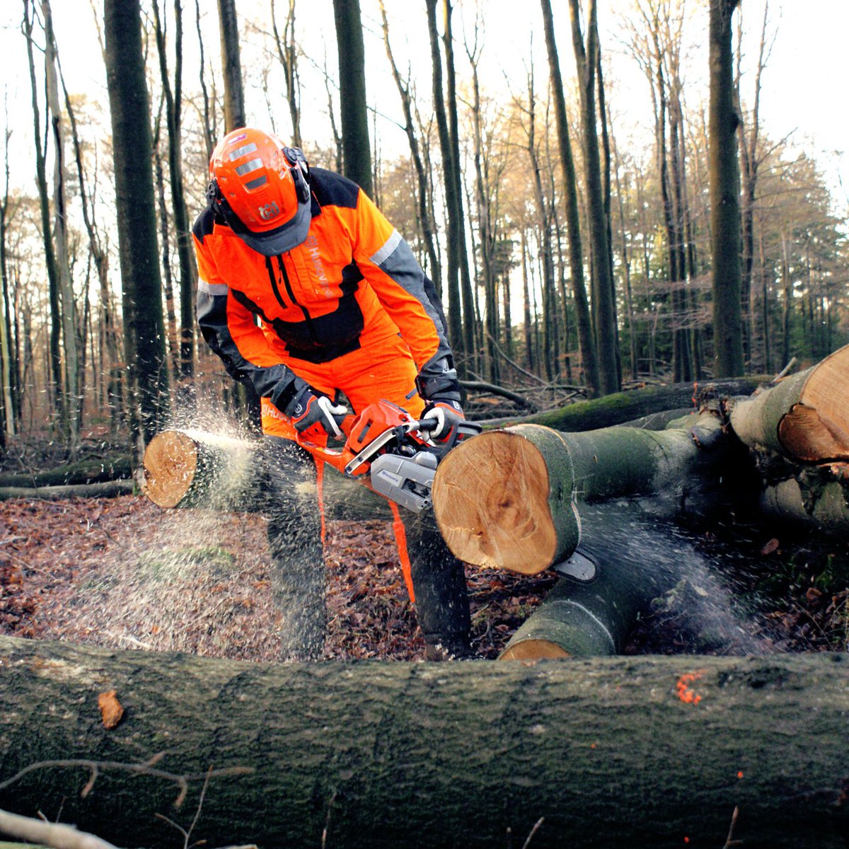 Wil jij het Nederlands Kettingzaag Certificaat* behalen? Dan is de eerste stap het volgen van de training ‘NKC 1 – Korten van liggend hout'.

🟩𝗗𝗲 𝘁𝗿𝗮𝗶𝗻𝗶𝗻𝗴 𝗶𝘀 𝗼𝗽 𝟭𝟱 𝗺𝗲𝗶 𝟮𝟬𝟮𝟯. 𝗠𝗲𝗹𝗱 𝗷𝗲 𝗵𝗶𝗲𝗿 𝗮𝗮𝗻:  bit.ly/3AP3UBE