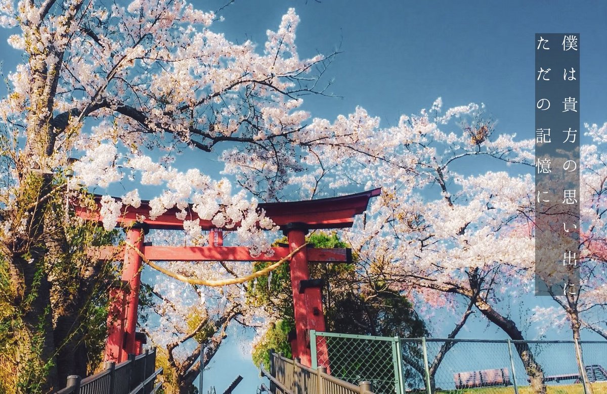 Syasin_kakou's tweet photo. ヨルシカ/都落ち

#写真好きな人と繋がりたい  
#ファインダー越しの私の世界  #photograph #coregraph
#キリトリセカイ #カメラ女子
#写真で伝えたい私の世界 
#harucanon https://t.co/LySKYoZ0u9